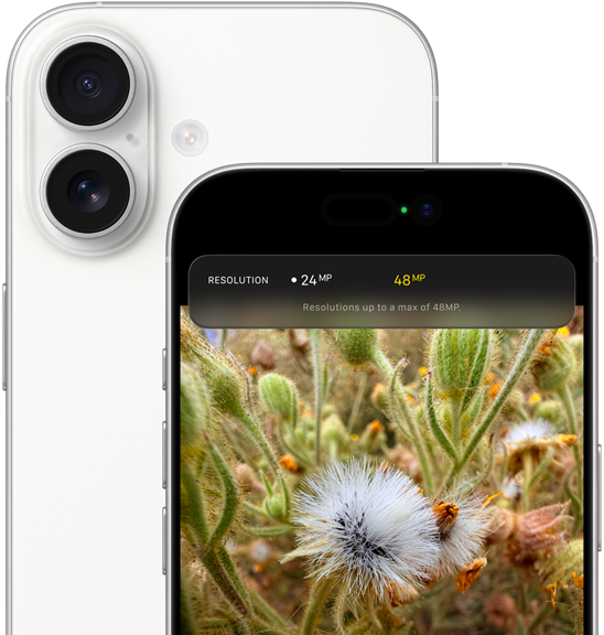 iPhone 17 Fusion camera system